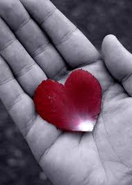 red_heart_in_hand