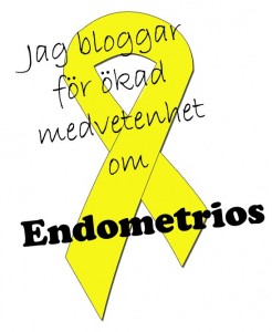 jag-bloggar-om endo246x300