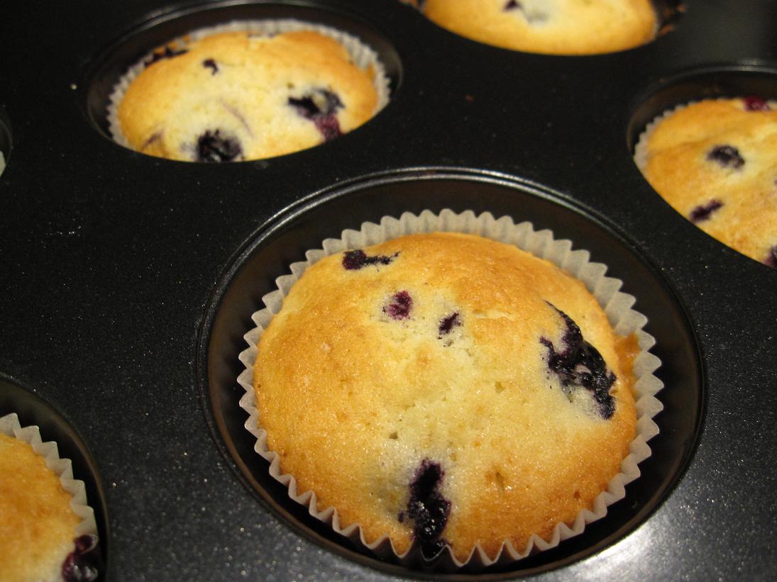 blåbärsmuffins