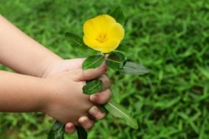 child-hand-giving-a-flower